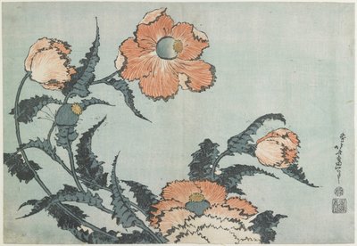 罂粟花，c。 1832 作者 葛饰北斋