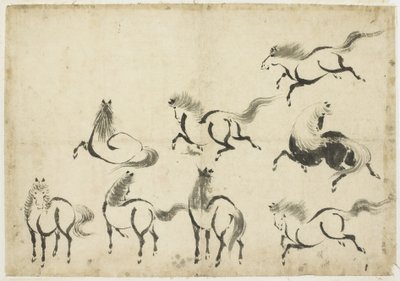 马匹研究，约1815年-1849年（纸上墨水） 作者 葛饰北斋