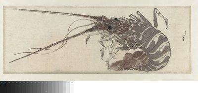 龙虾 作者 葛饰北斋