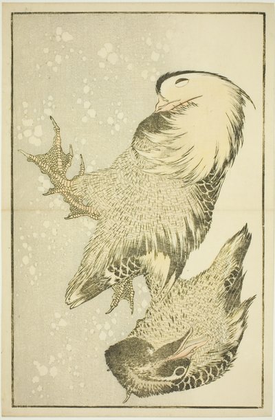 两只水鸟，选自《北斋写实画集》（北斋写真集） 作者 葛饰北斋