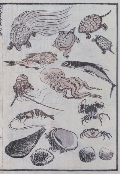 海底生物，来自漫画（彩色木版画） 作者 葛饰北斋