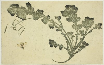 黄蜂和萝卜梗，选自《北斋写实画集》。 作者 葛饰北斋