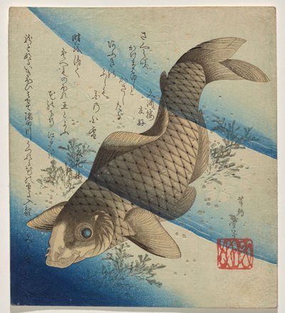 鲤鱼在海草中游泳 作者 Katsushika Taito II