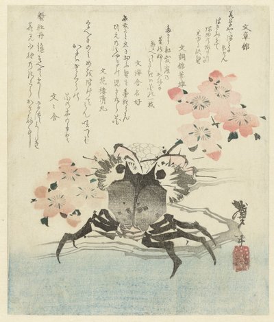 樱花蟹 作者 文士馆不动产