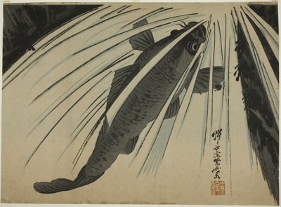 鲤鱼瀑布 作者 Kawanabe Kyosai