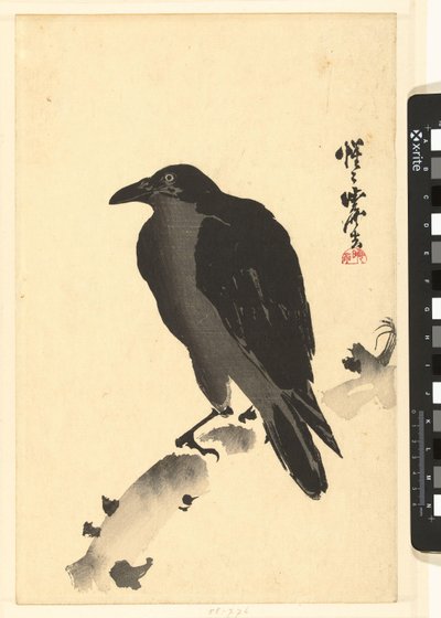 树干上的乌鸦 作者 川边京菜