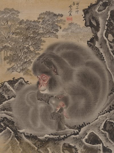 猴子，1888年3月。 作者 川边京菜