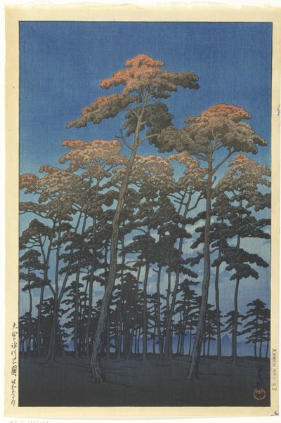 大宫日川公园 作者 川濑莲水