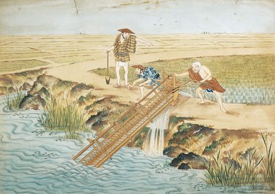 荷兰，莱顿，稻田里的工作 作者 川原敬佳