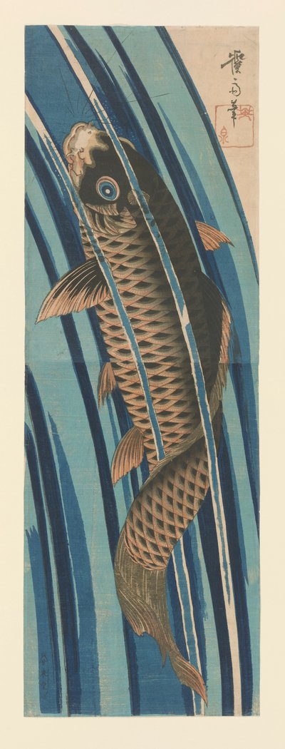 鲤鱼逆流而上 作者 京西铁