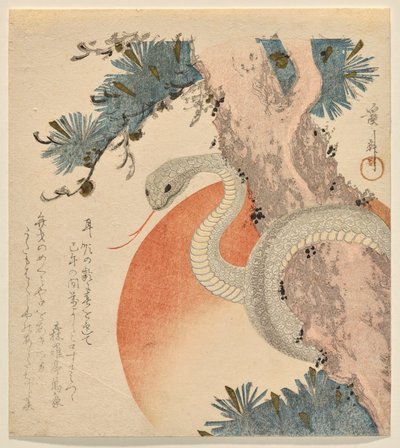 日出前松树上盘绕的蛇 作者 京西铁