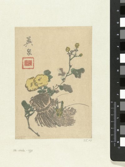 蚱蜢和花朵 作者 京西铁