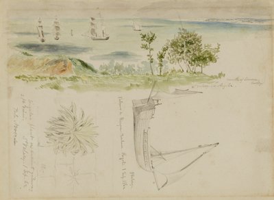 海岸风光 作者 凯洛格，迈纳·基尔伯恩