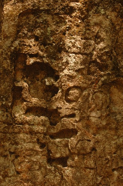 7319 Oxpemul；玛雅；古代文化；玛雅；墨西哥；玛雅生物圈保护区；Ivan Spr......，2004 年（照片） 作者 肯尼思·加勒特