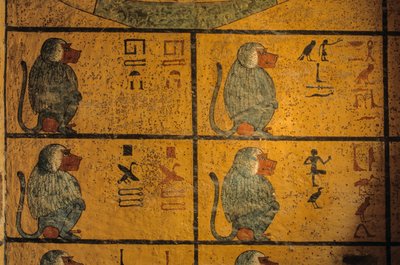 狒狒，图坦卡蒙国王墓中的壁画；KV52，帝王谷，底比斯......，2003 年（照片） 作者 肯尼思·加勒特