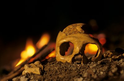 卫生部；13 万年前的尼安德特人，女性头骨，克拉皮纳 3 号，克拉皮纳洞穴，巴尔干半岛 作者 肯尼思·加勒特