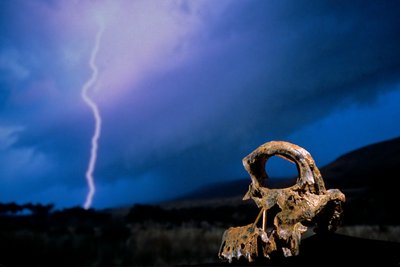 DOH; The First Steps, Broken Skull, STW 847, Lightning, High veld, Swartkrans, South Africa, 2008（照片） 作者 肯尼思·加勒特