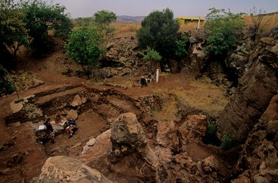 南非约翰内斯堡附近的德里莫兰遗址，200 万年前的类人猿、 作者 肯尼思·加勒特