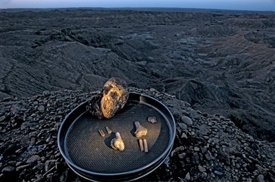 露西的孩子，Zeray Alemseged，Australopithicus Afarensis，埃塞俄比亚，古生物学家，......，2006 年（照片） 作者 肯尼思·加勒特