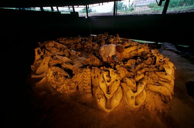 2000 年，乌克兰 Mezhirich，骨屋中的猛犸象颚骨（照片） 作者 肯尼思·加勒特