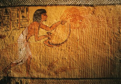 收割小麦的绘画，Sennedjem 陵墓，Deir el Medina，2003 年（照片） 作者 肯尼思·加勒特