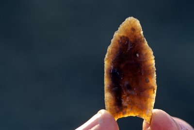 美洲人口，福尔瑟姆点，黑水峡谷，新墨西哥州，石点，2008 年（照片） 作者 肯尼思·加勒特