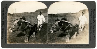 1900年代，在韩国首尔附近耕种。 作者 Keystone View公司