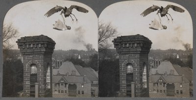 在古老的时代，如果人们是好的，鹳鸟会带来一个甜蜜和公平的婴儿，1907年。 作者 Keystone View公司