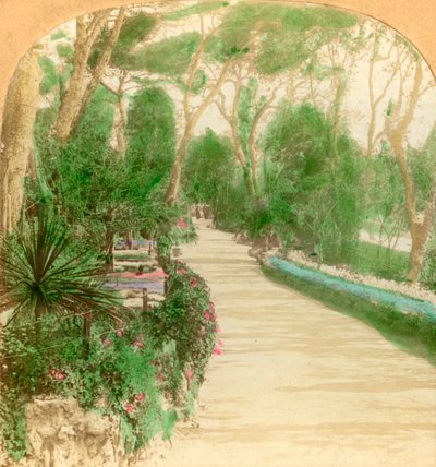 长廊，阿拉米达花园，直布罗陀岩，1896年。 作者 Keystone View公司