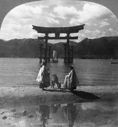 宫岛的著名海鸟居鸟居。 1905年，日本著名神道圣地的古雅门户。 作者 Keystone View公司
