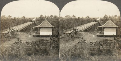 一组14张非洲和演员的立体照片，19世纪50年代至10年代。 作者 基尔本兄弟