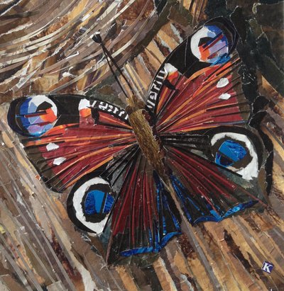 唤醒在Woodpile的孔雀Butterfly蝶 作者 Kirstie Adamson