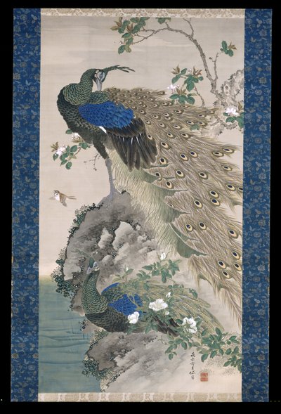 岩石上的樱桃-苹果和孔雀（绢本水墨和色彩） 作者 岸氏岸