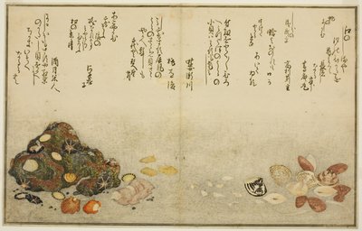 芦柴、浜栗、芋柴、铃木柴、赤屋柴和片柴，选自绘本《退潮的礼物（汐之つとと）》。 作者 北川宇多郎