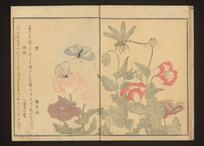 罂粟花旁的蝴蝶和蜻蜓 作者 北川宇多郎