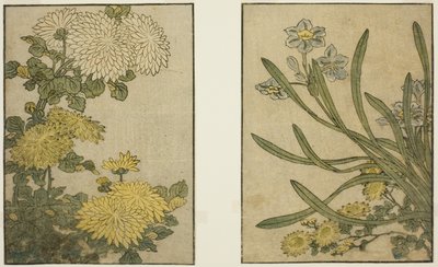 菊花和水仙，选自绘本《图画书：四季之花（Ehon shiki no hana）"，第 2 卷 作者 北川宇多郎