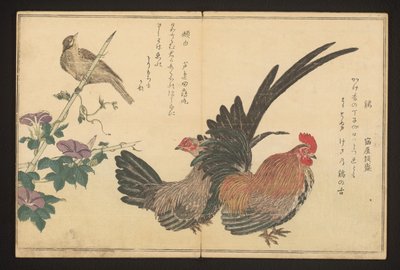 公鸡和彩旗 作者 北川宇多郎