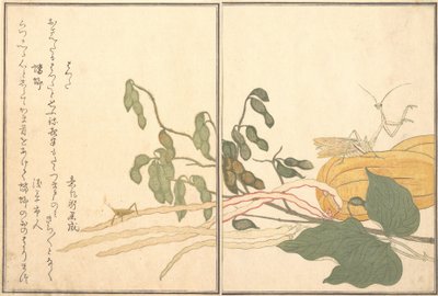 锥头蚱蜢或蝗虫，batta，祈祷的螳螂Toro或Kamakiri...，1788。 作者 北川宇多郎