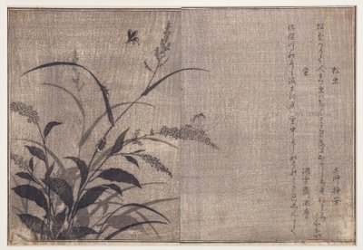 板球和萤火虫，1788（木刻） 作者 北川宇多郎