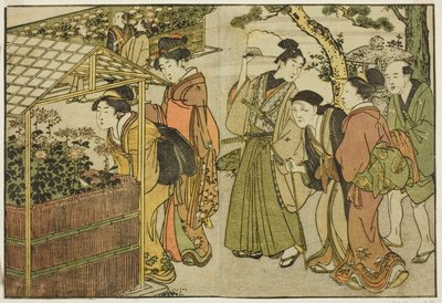 菊花的展示，选自绘本《图画书：四季之花（Ehon shiki no hana）"，第 2 卷 作者 北川宇多郎