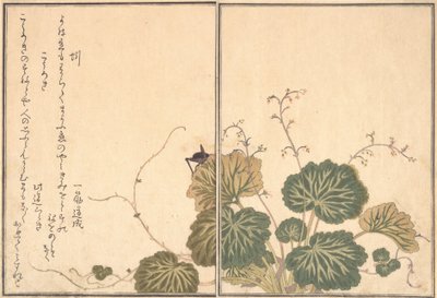 蚯蚓Mimizu，蟋蟀Korogi...，1788。 作者 北川宇多郎
