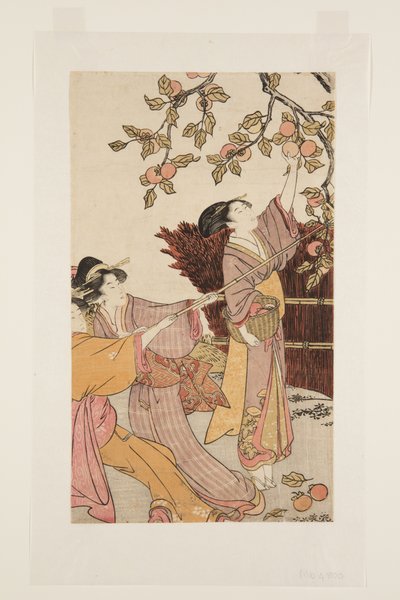 采集柿子（彩色木版画 作者 北川宇多郎