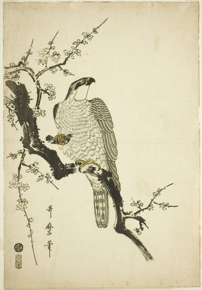 梅枝上的鹰 作者 北川宇多郎