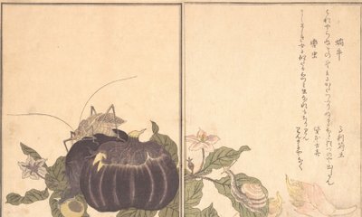陆地蜗牛Katatsumuri，巨型蝈蝈Kutsuwamushi ...，1788。 作者 北川宇多郎