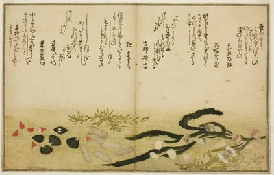 绘本 "退潮的礼物（汐之刀）"中的水菜、汐菜、葛菜、酱菜、千金菜和千草菜 作者 北川宇多郎
