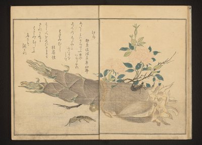 竹笋上的蝼蛄和蠼 作者 北川宇多郎
