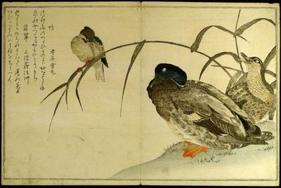 千鸟：京香比赛（Momo chidori kyoka awase） 作者 北川宇多郎