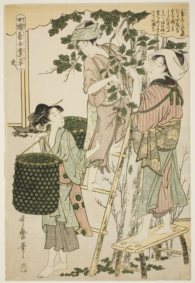 第 2 号（ni），选自 "从事蚕桑业的妇女（Joshoku kaiko tewaza-gusa）"系列 作者 北川宇多郎