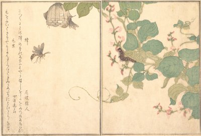 纸黄蜂Hachi，毛毛虫Kemushi...，1788年。 作者 北川宇多郎