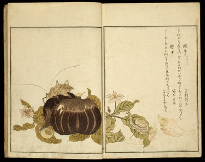 图画书：昆虫选》（Ehon mushi erabi） 作者 北川宇多郎